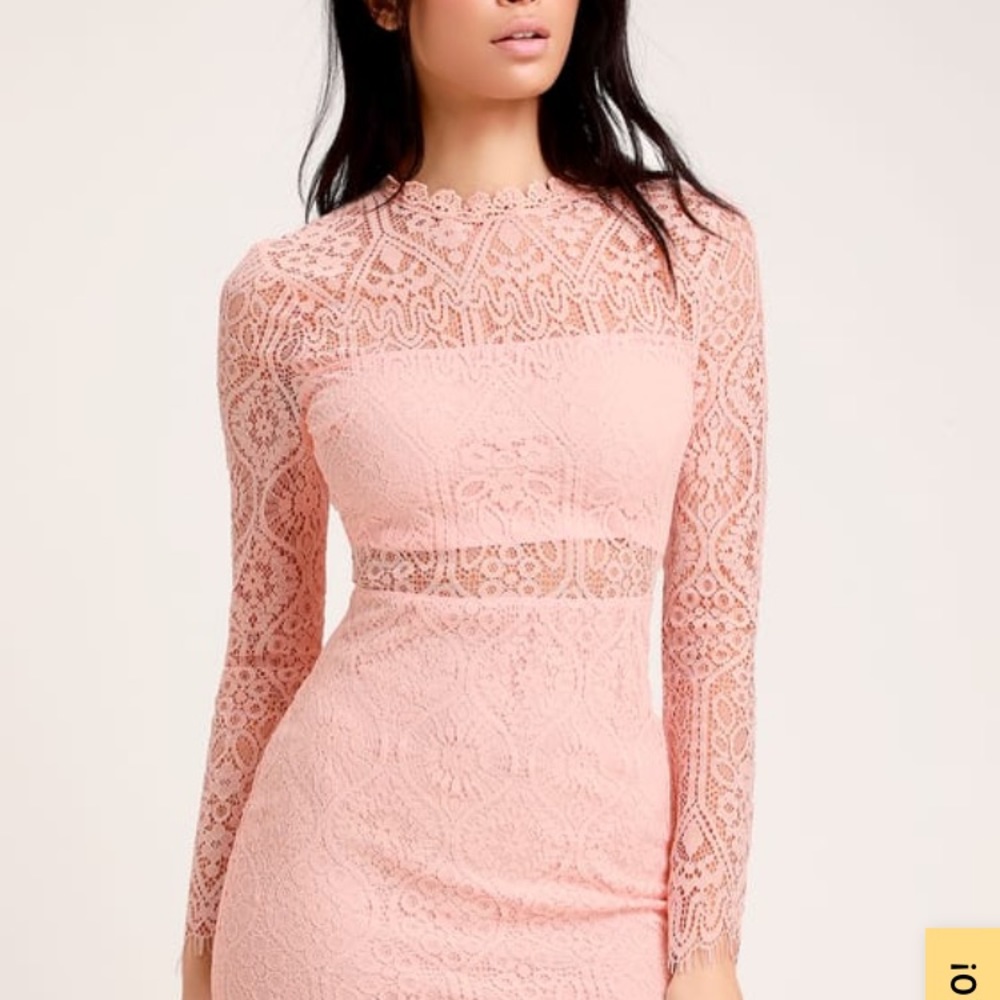 Appetite for Seduction Blush Pink Lace Long Sleeve